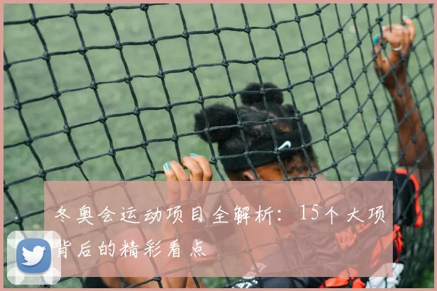 冬奥会运动项目全解析：15个大项背后的精彩看点