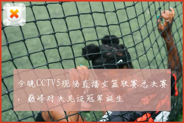 今晚CCTV5现场直播女篮联赛总决赛，巅峰对决见证冠军诞生