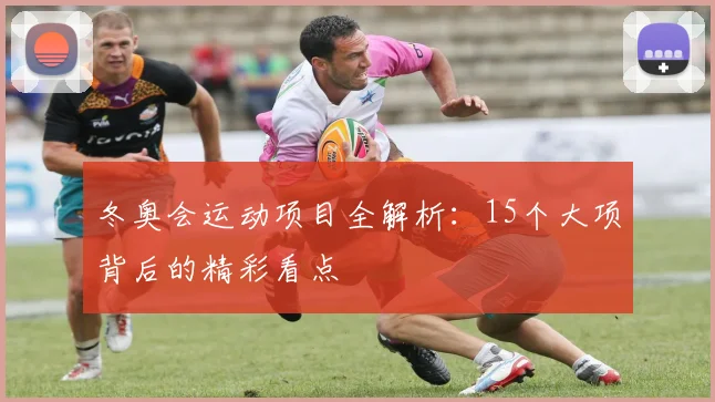 冬奥会运动项目全解析：15个大项背后的精彩看点